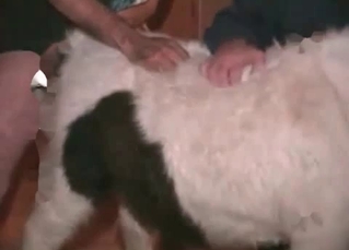 Punishing the beast in a doggy-style pose