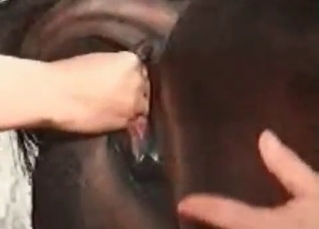 Hot pervert is practicing ass fucking