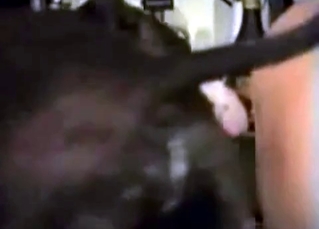 Brutal animal is banging a woman