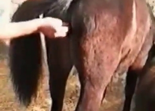Small stallion is enjoying deep fingering
