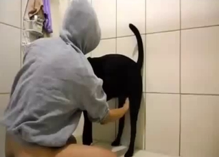 Black dog gives in to temptation